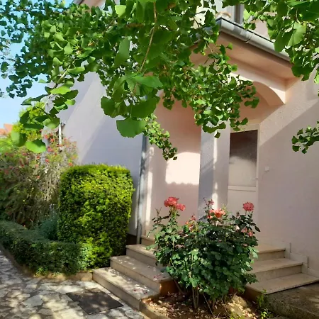 Ginkgo Porec