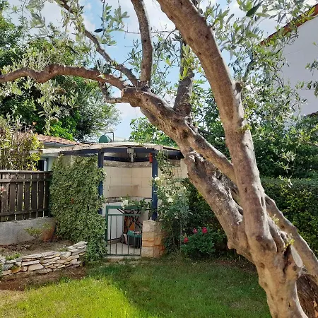 Holiday home Ginkgo